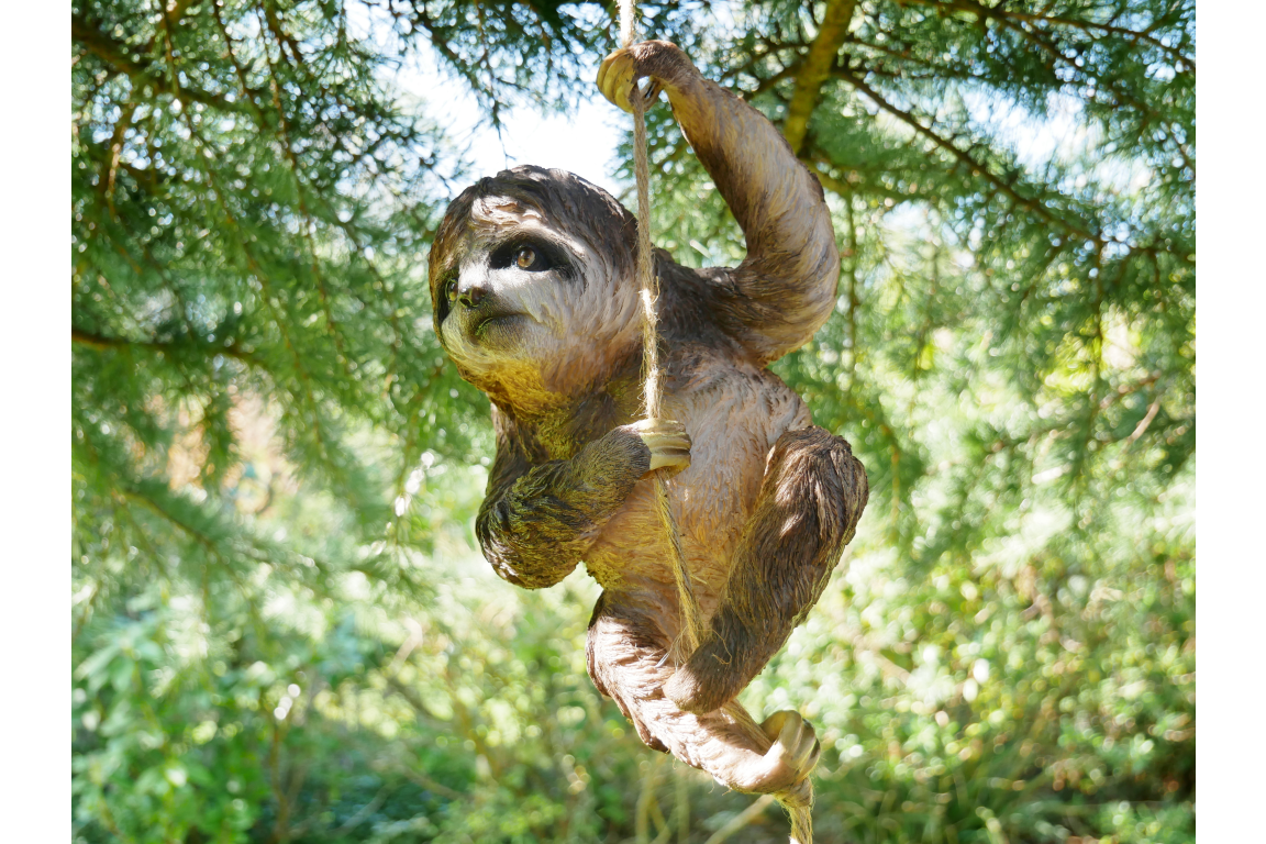 Climbing Sloth on Rope – Whimsical Hanging Animal Decor | Sign of the times Stoke