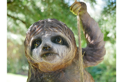 Climbing Sloth on Rope – Whimsical Hanging Animal Decor | Sign of the times Stoke