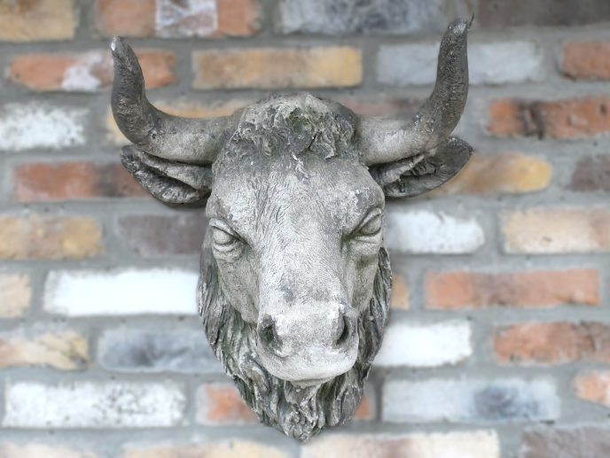 Cow Head Wall Mount – Stone Effect Animal Sculpture | Rustic Farmhouse Decor | Sign of the times Stoke
