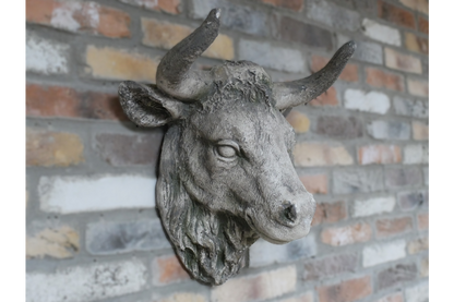Cow Head Wall Mount – Stone Effect Animal Sculpture | Rustic Farmhouse Decor | Sign of the times Stoke