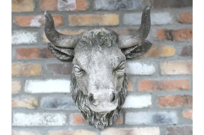 Cow Head Wall Mount – Stone Effect Animal Sculpture | Rustic Farmhouse Decor | Sign of the times Stoke