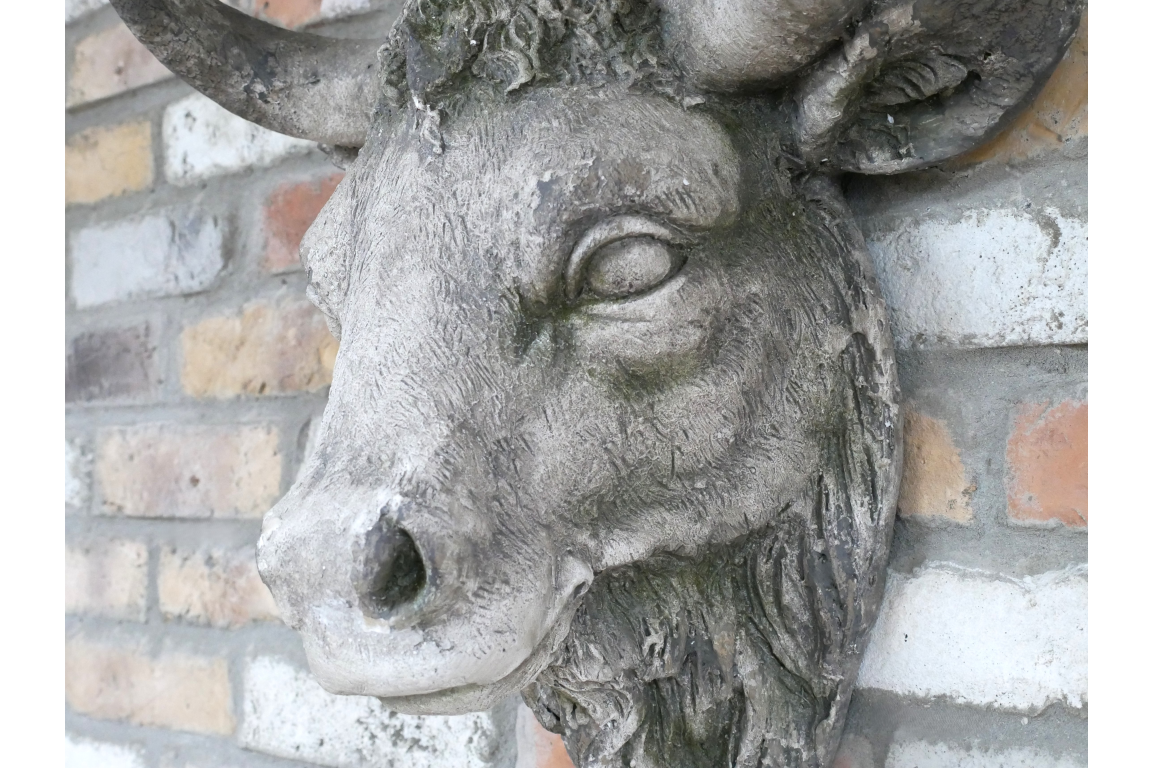 Cow Head Wall Mount – Stone Effect Animal Sculpture | Rustic Farmhouse Decor | Sign of the times Stoke