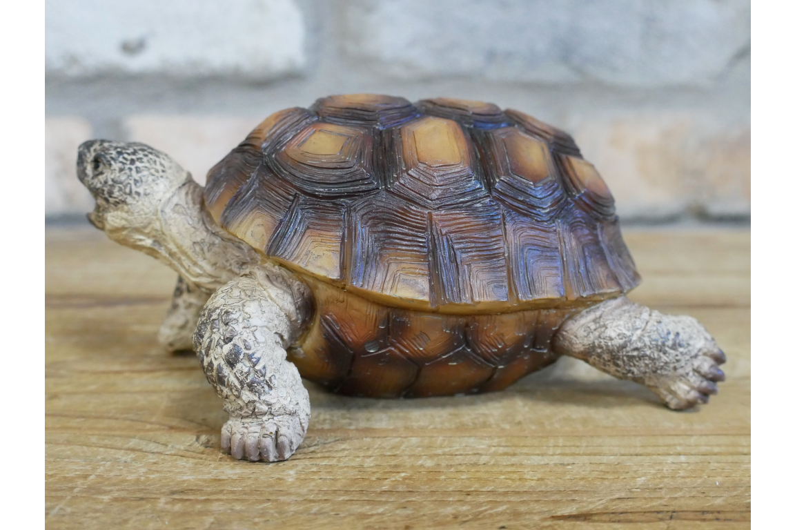 Small Tortoise Ornament | Charming Animal Decor for Home or Garden | Sign of the times Stoke