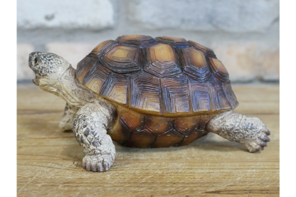 Small Tortoise Ornament | Charming Animal Decor for Home or Garden | Sign of the times Stoke