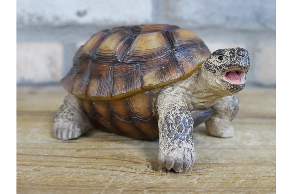 Small Tortoise Ornament | Charming Animal Decor for Home or Garden | Sign of the times Stoke