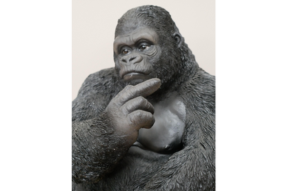 Gorilla – Cheeky and Bold Home Decor Statement | Sign of the times Stoke