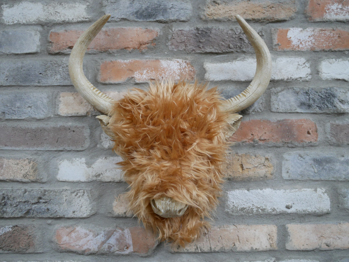 Woolly Highland Cow Wall Decor – Textured Farmhouse-Style Wall Art | Sign of the times Stoke