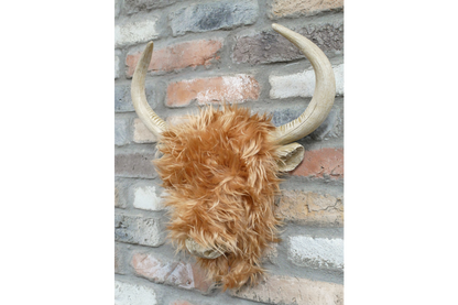 Woolly Highland Cow Wall Decor – Textured Farmhouse-Style Wall Art | Sign of the times Stoke