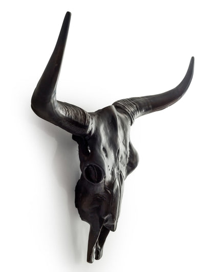 Antique Bronze Bull Wall Skull – Stunning Aluminium Sculpture with Shine Effect | Sign of the times Stoke