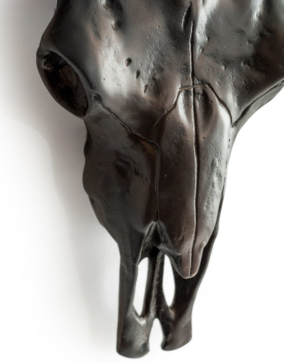 Antique Bronze Bull Wall Skull – Stunning Aluminium Sculpture with Shine Effect | Sign of the times Stoke