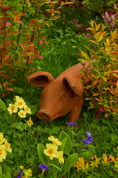 Decorative Pig Ornament – Hand Finished Indoor & Outdoor Sculpture | Sign of the times Stoke
