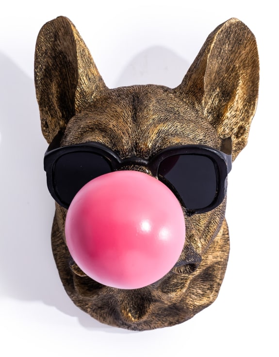 Gold Pug Dog Bubblegum Wall Head – Decorative Resin Dog Wall Décor | Sign of the times Stoke