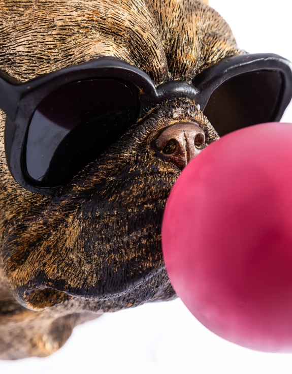 Gold Pug Dog Bubblegum Wall Head – Decorative Resin Dog Wall Décor | Sign of the times Stoke