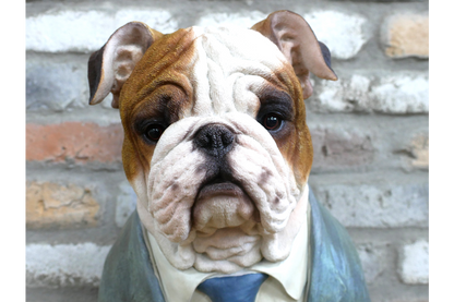 Large Bulldog Bust – Bold & Distinguished Dog Sculpture | Sign of the times Stoke