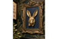 Rabbit in Frame – Decorative Framed Rabbit Wall Art | Sign of the times Stoke