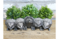Hedgehog Planter – Cute Decorative Animal Plant Pot | Sign of the times Stoke