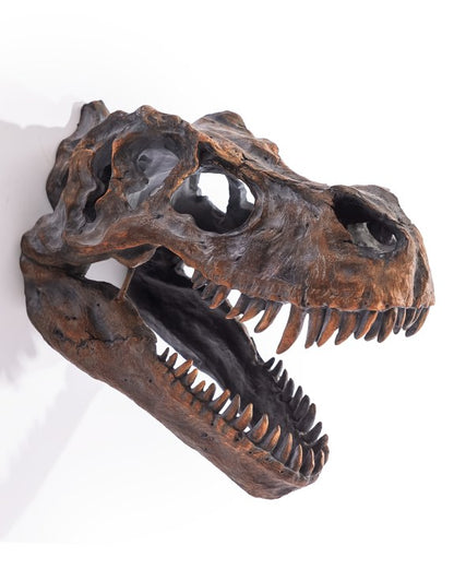 Large T-Rex Dinosaur Head Wall Mount - Stunning Prehistoric Decor | Sign of the times Stoke