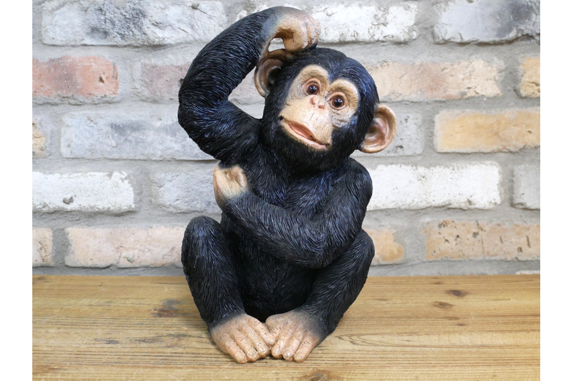 Scratching Monkey – Quirky Decorative Monkey Sculpture | Sign of the times Stoke