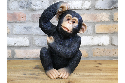 Scratching Monkey – Quirky Decorative Monkey Sculpture | Sign of the times Stoke