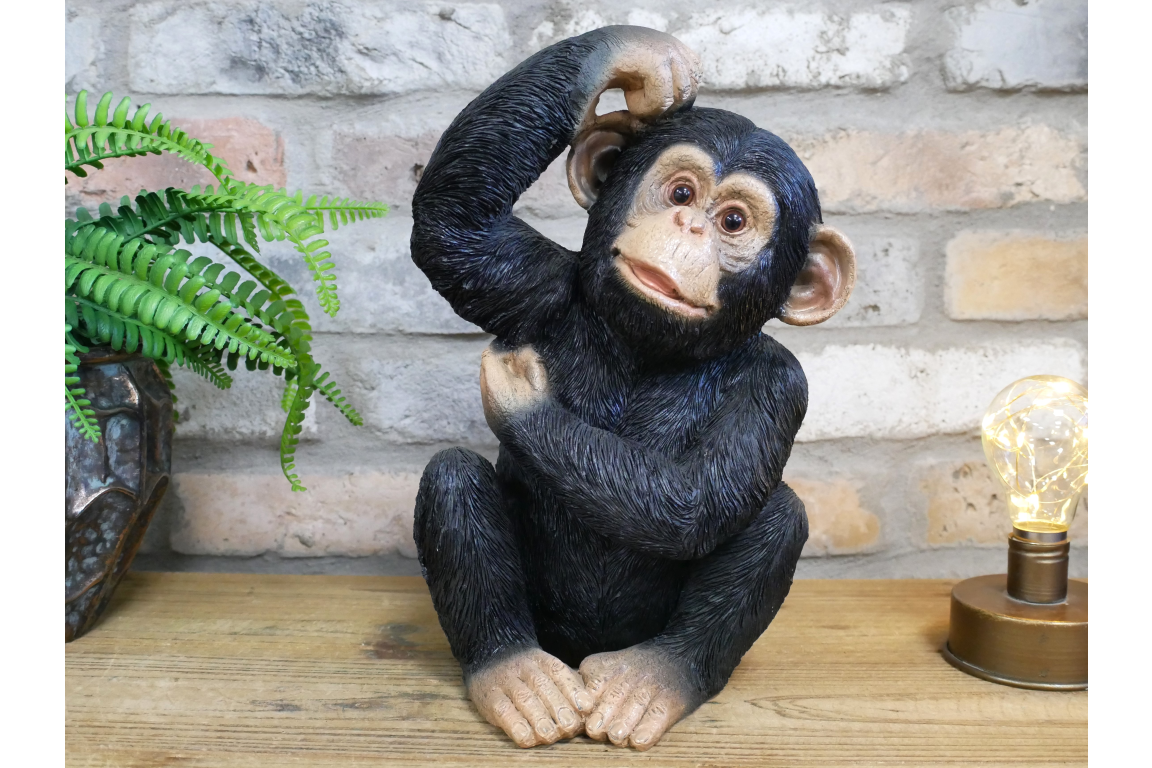 Scratching Monkey – Quirky Decorative Monkey Sculpture | Sign of the times Stoke