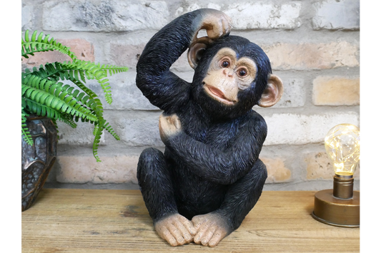 Scratching Monkey – Quirky Decorative Monkey Sculpture | Sign of the times Stoke