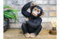 Scratching Monkey – Quirky Decorative Monkey Sculpture | Sign of the times Stoke