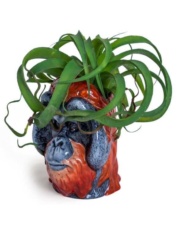 Hand Painted Ceramic Orangutan Head Storage Jar / Vase – Unique Statement Décor | Sign of the times Stoke