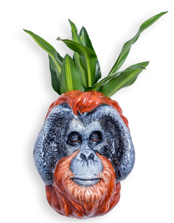 Hand Painted Ceramic Orangutan Head Wall Sconce Vase – Artistic Wall Déco | Sign of the times Stoke