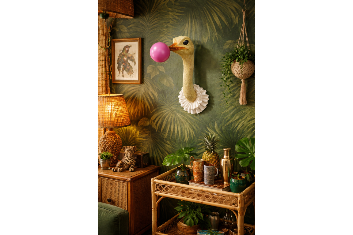 Ostrich Wall Decoration – Unique Animal Wall Sculpture | Sign of the times Stoke
