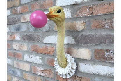 Ostrich Wall Decoration – Unique Animal Wall Sculpture | Sign of the times Stoke