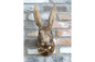 Rabbit Head Wall Decoration – Statement Animal Wall Sculpture | Sign of the times Stoke