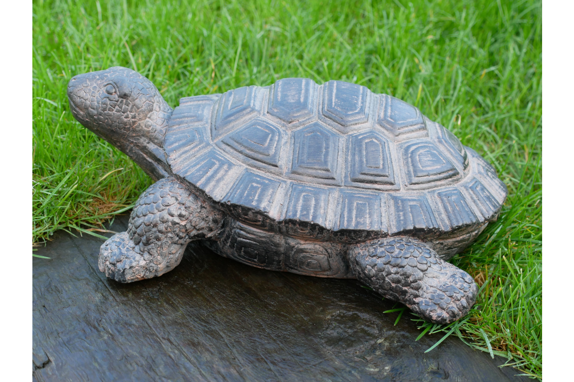 Decorative Tortoise Ornament – Nature-Inspired Home & Garden Décor | Sign of the times Stoke