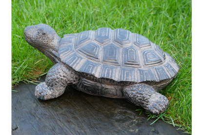 Decorative Tortoise Ornament – Nature-Inspired Home & Garden Décor | Sign of the times Stoke