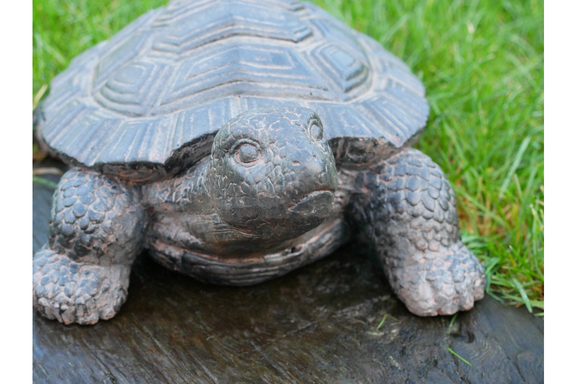 Decorative Tortoise Ornament – Nature-Inspired Home & Garden Décor | Sign of the times Stoke