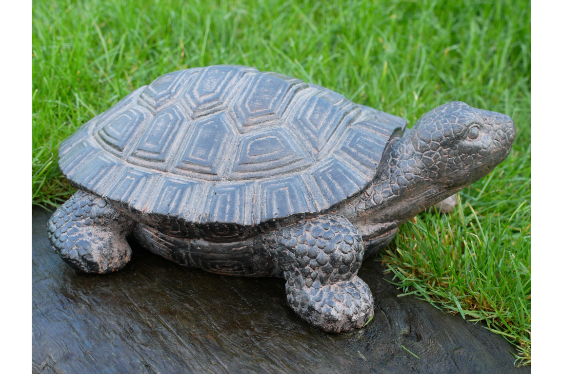 Decorative Tortoise Ornament – Nature-Inspired Home & Garden Décor | Sign of the times Stoke