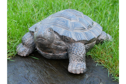 Decorative Tortoise Ornament – Nature-Inspired Home & Garden Décor | Sign of the times Stoke