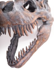 Extra Large T-Rex Dinosaur Head Wall Mount - Majestic Prehistoric Decor | Sign of the times Stoke