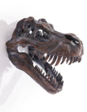 Extra Large T-Rex Dinosaur Head Wall Mount - Majestic Prehistoric Decor | Sign of the times Stoke